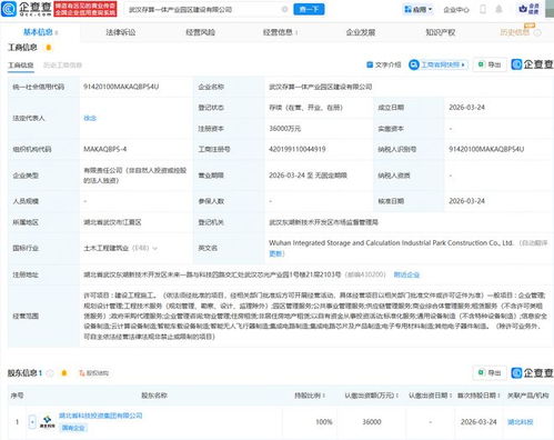 武漢存算一體產業(yè)園區(qū)建設公司成立，加速區(qū)域數字經濟發(fā)展