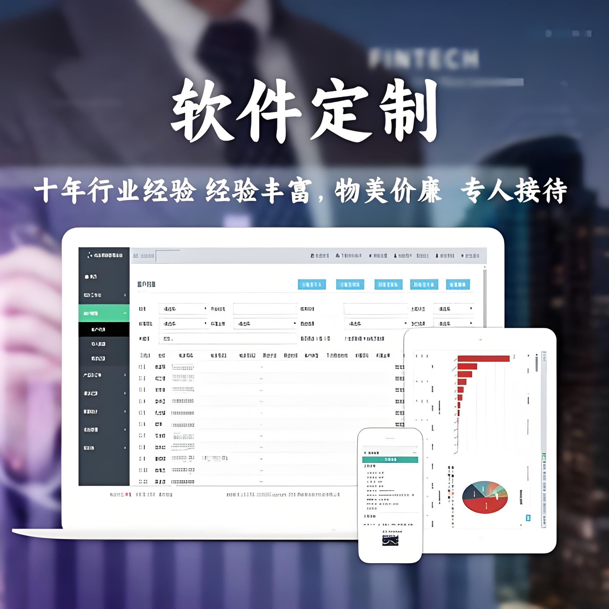 軟件系統(tǒng)開發(fā) 從構想到實現(xiàn)的全過程解析