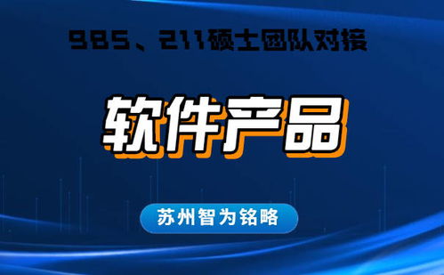 蘇州企業(yè)軟件產(chǎn)品認(rèn)定申請(qǐng)指南 詳解流程、條件與“不成功不收費(fèi)”服務(wù)模式