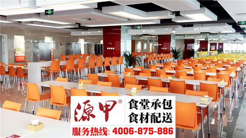 蔬菜配送到位、餐飲管理專(zhuān)業(yè) 源甲餐飲為何能讓大眾滿(mǎn)意
